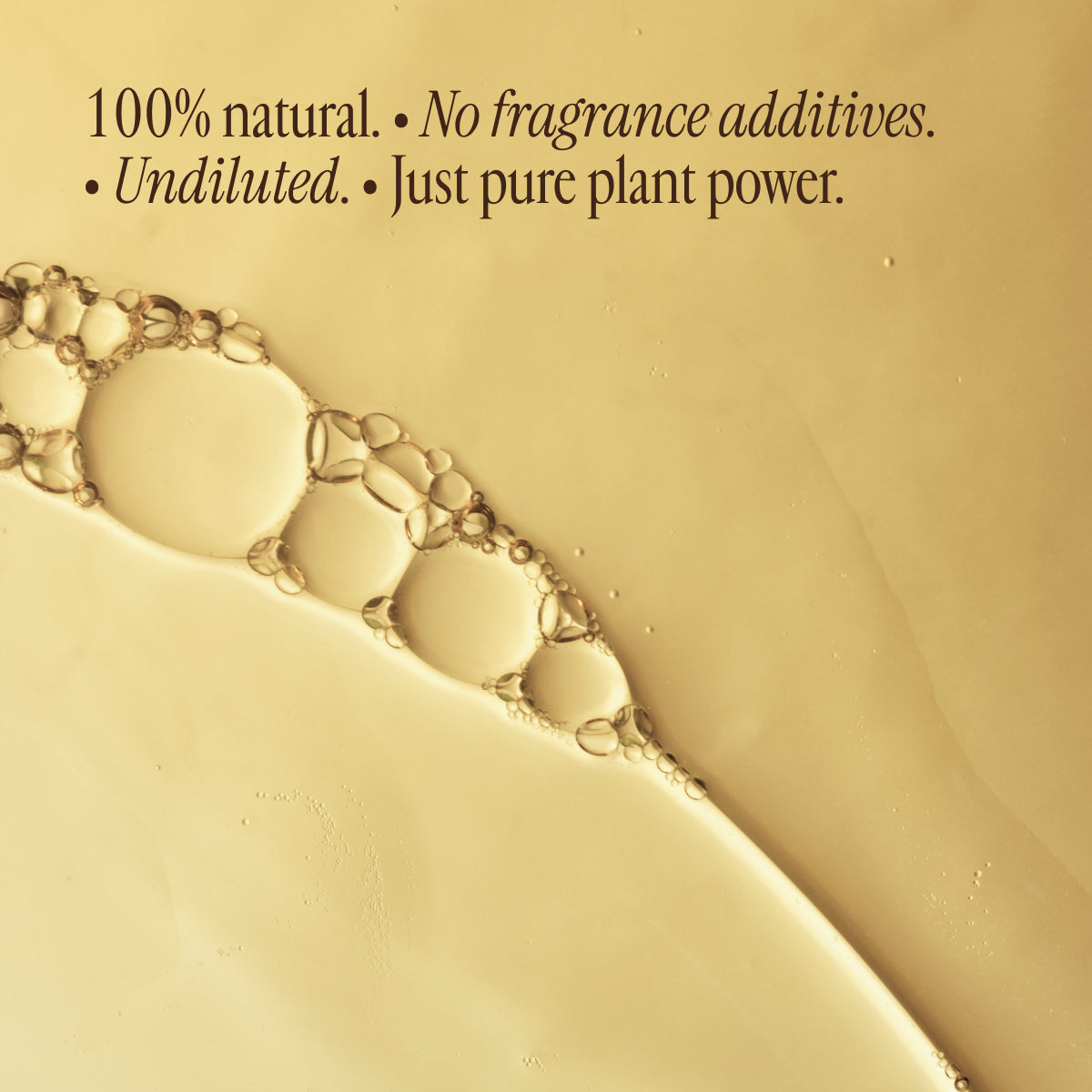 Coastal Sunshine