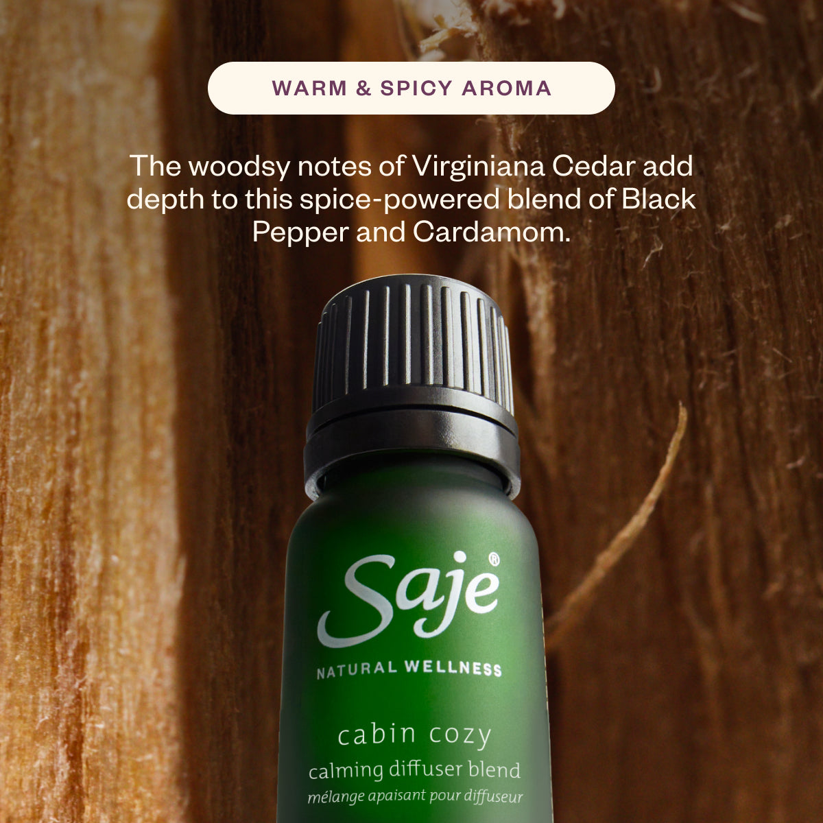 Hibernation Mode
