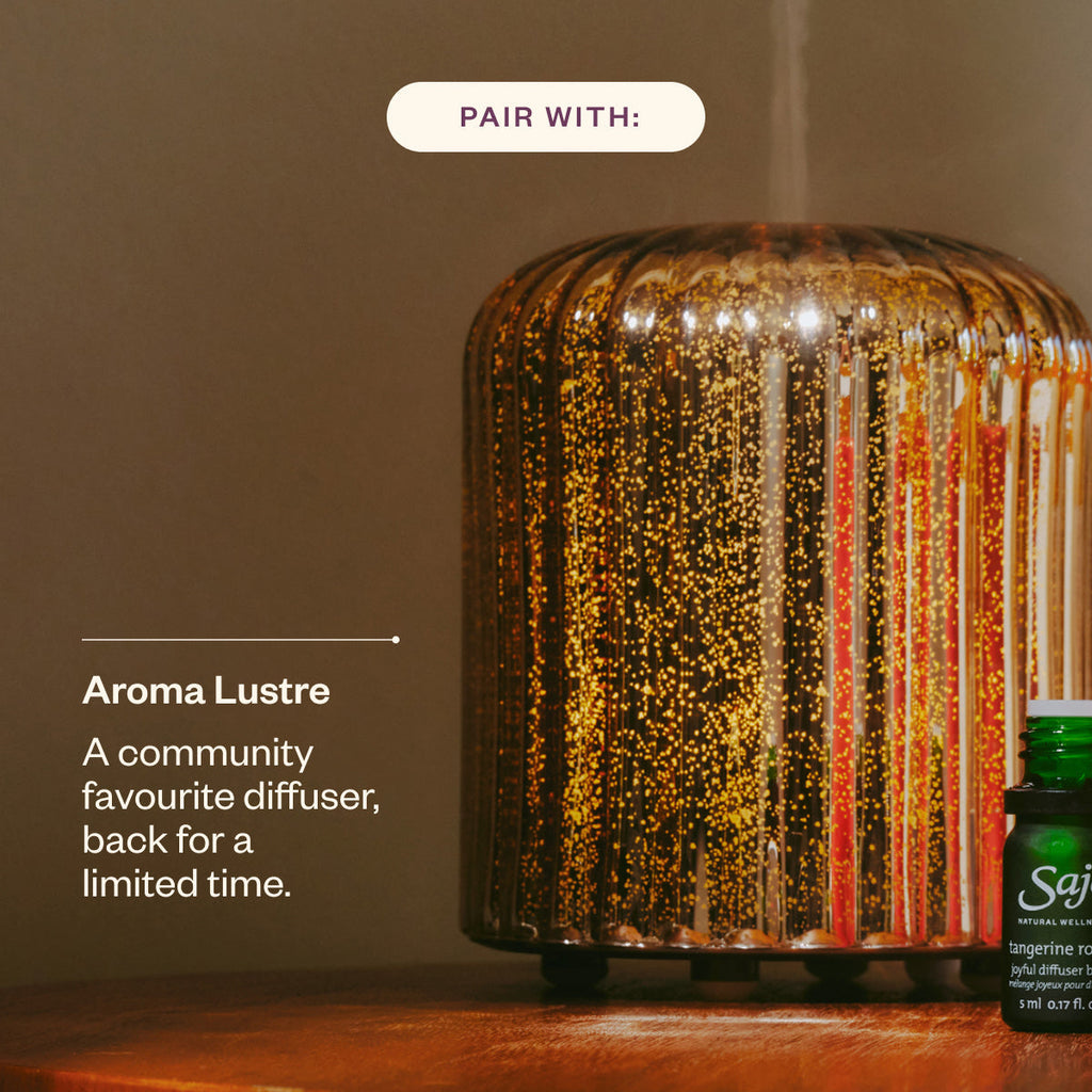 Hibernation Mode