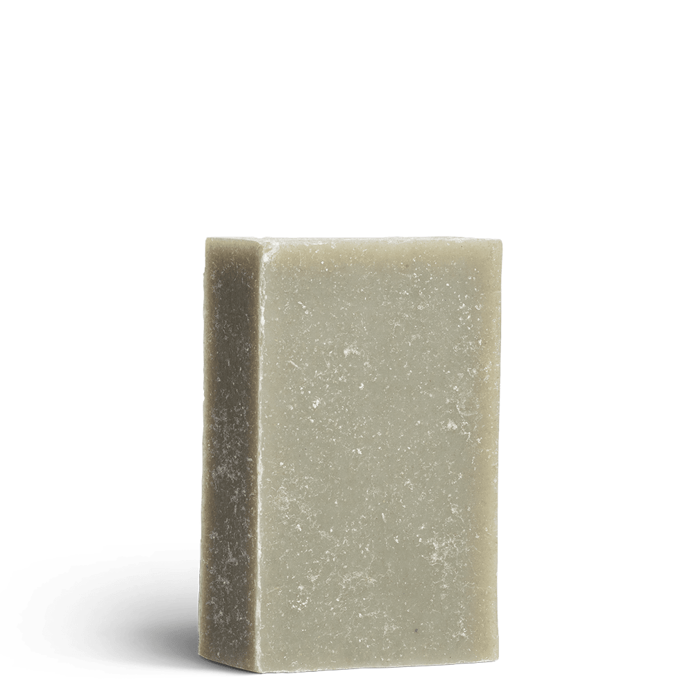 Parisian Garden